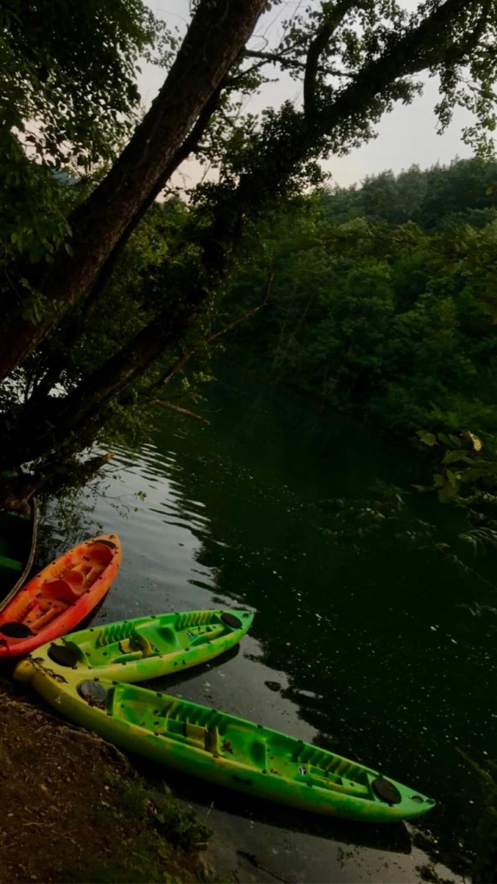 Vila Ecotourism Mrežnica Exteriér fotografie